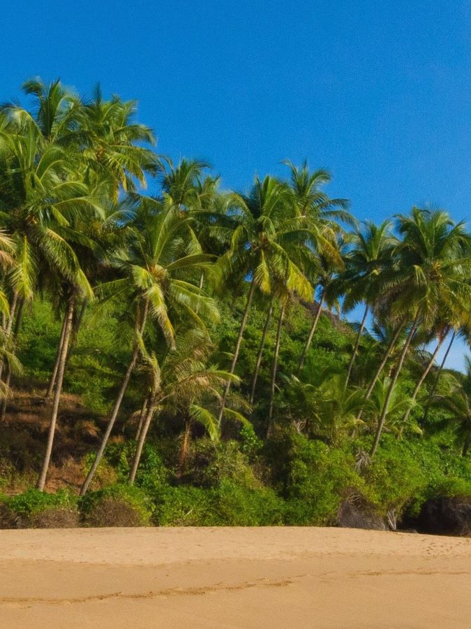 Goa Training
